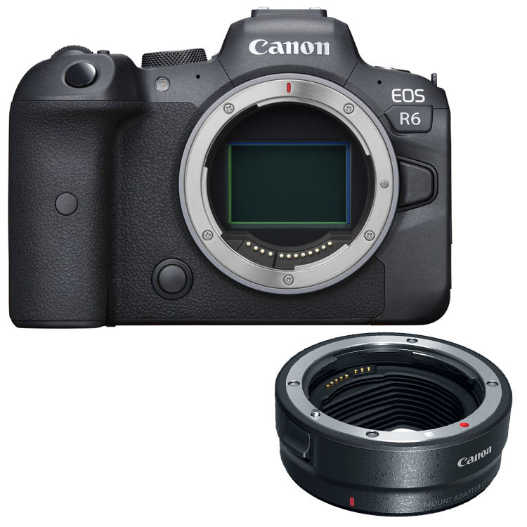 Canon EOS R6 Mirrorless Camera Body with EF-EOS R mount adapter