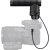 Canon Directional Stereo Microphone DM-E1