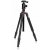 Beginner Wildlife Photography Nikon Z50 Mirrorless Camera Kit